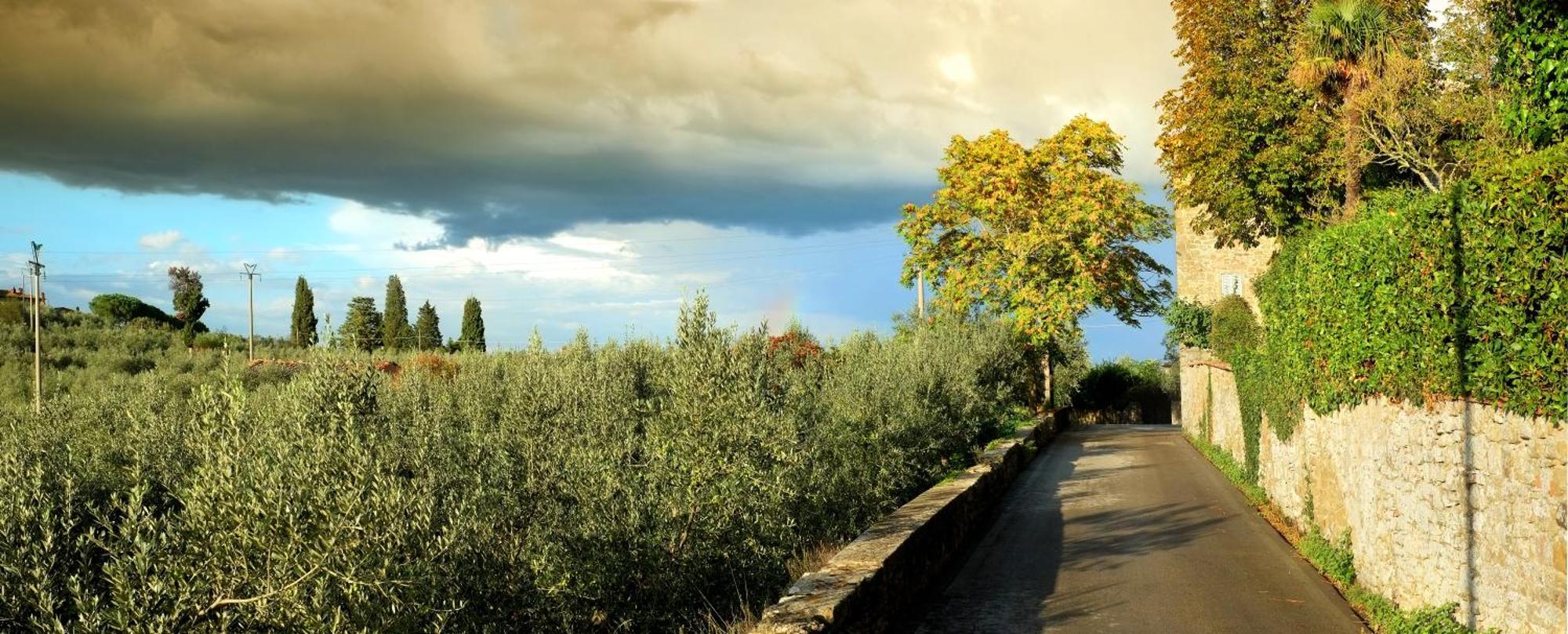 B&B Il Fondaco del Moro Civitella in Val di Chiana Exterior foto